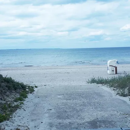 Design Nienrausch 2 *